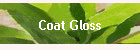 Coat Gloss